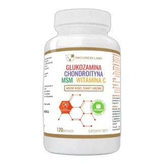 Suplement diety Progress Labs Glukozamina Chondroityna kapsułki 120 szt. — zdjęcie 1